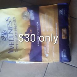 wellness puppy food