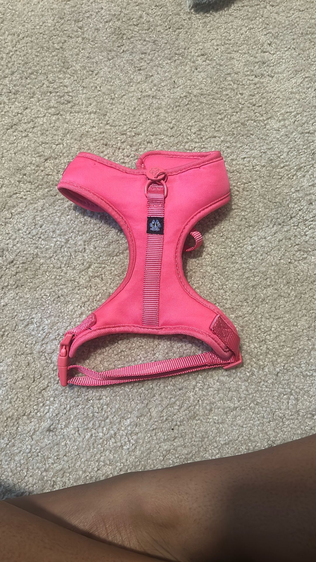Small Gap harness
