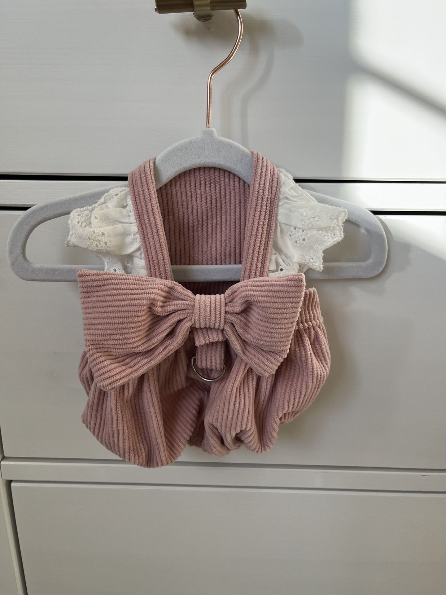 Dog Clothes