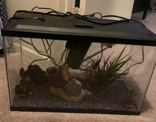 Fish Tank, Water Filter, Heater