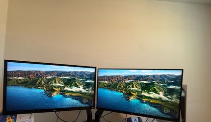 Dual monitor arm with extra LG monitor