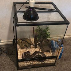 girl snake