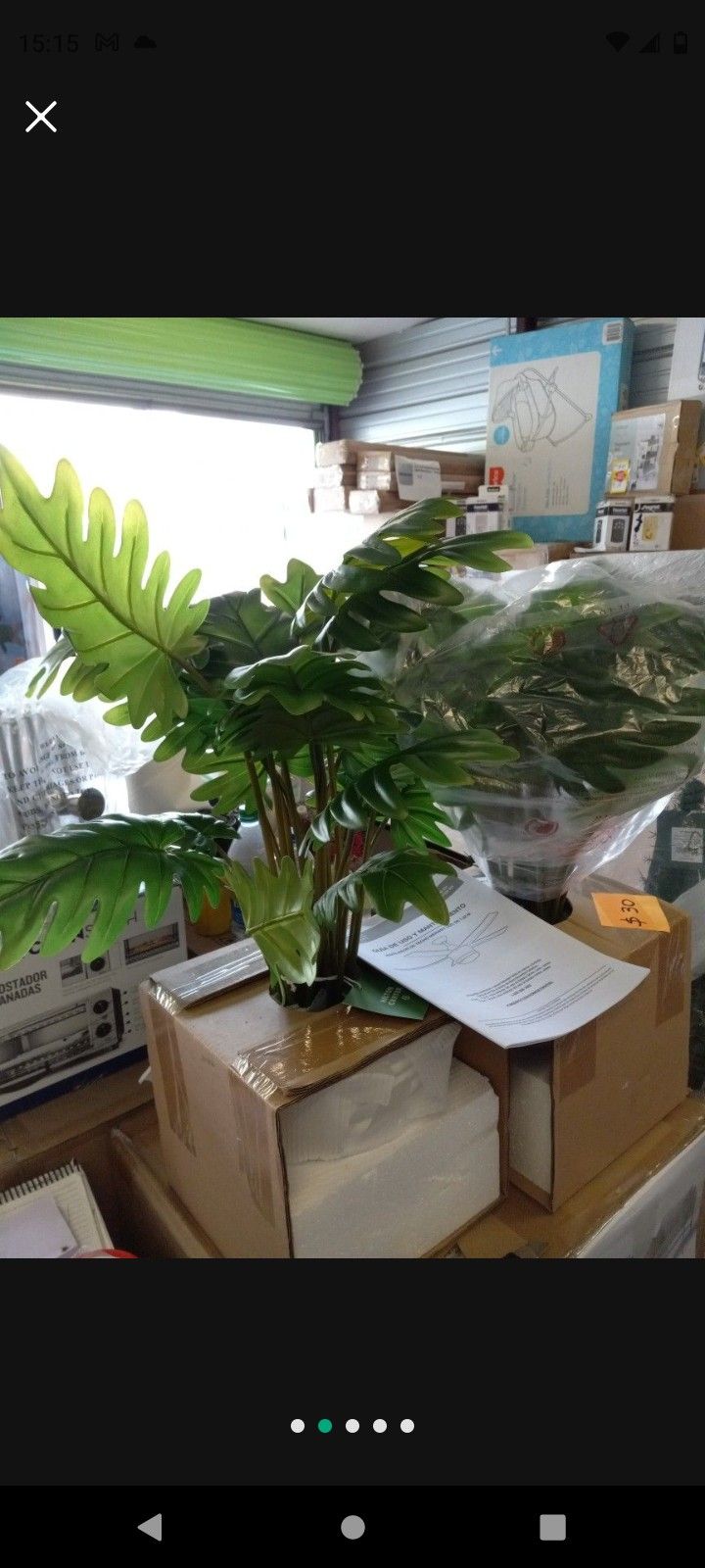 Brand New Artificial Plants Price Starts At $15