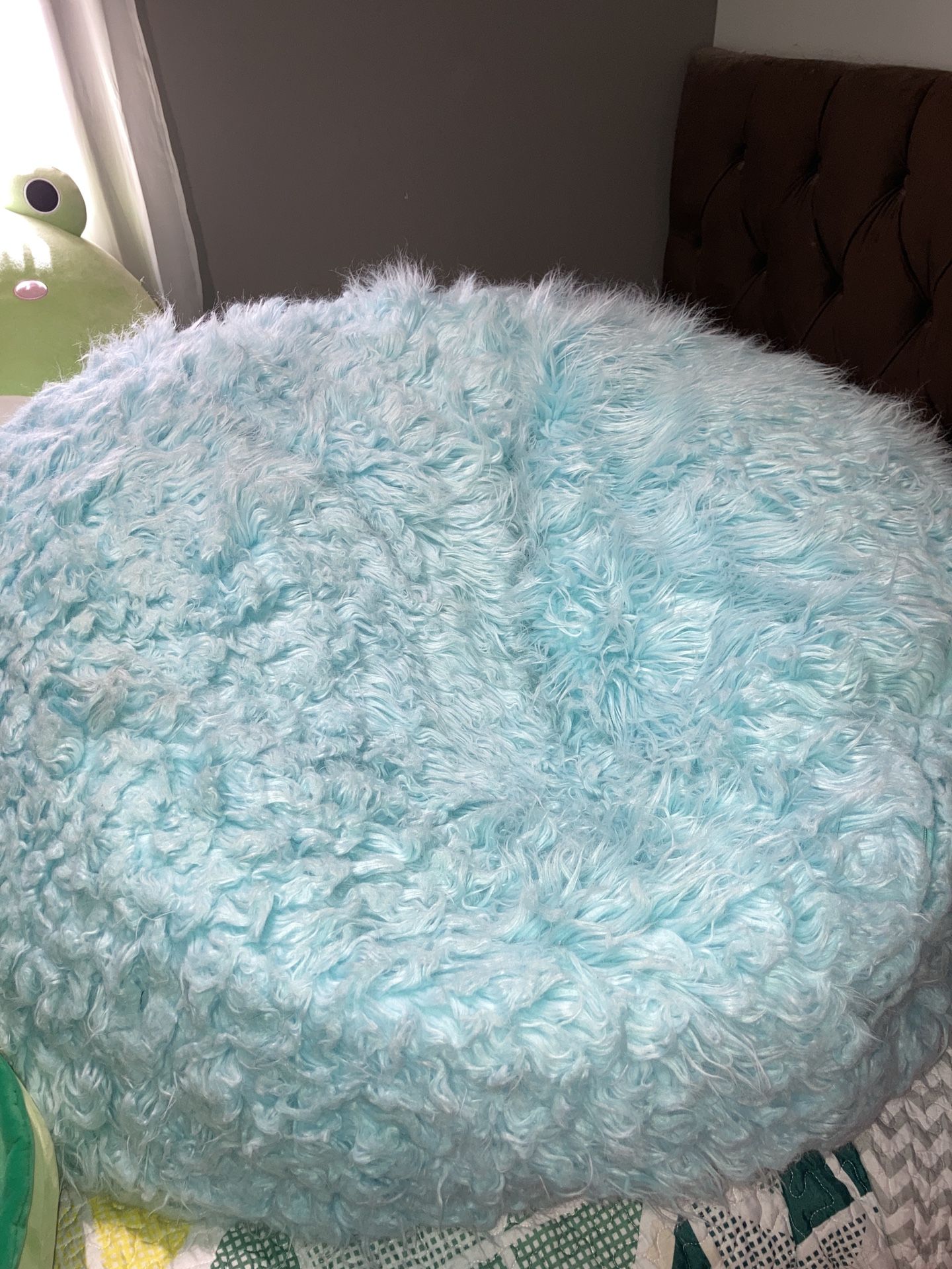 Pottery Barn Teen Bean Bag.  Large 