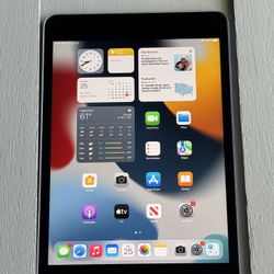 Apple iPad Mini 4th Generation 