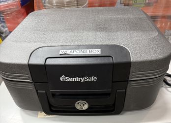 Sentry Gun Safe