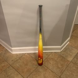 Easton Hype Fire 32/24 Baseball Bat 