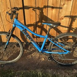 Giant Mountain Bike