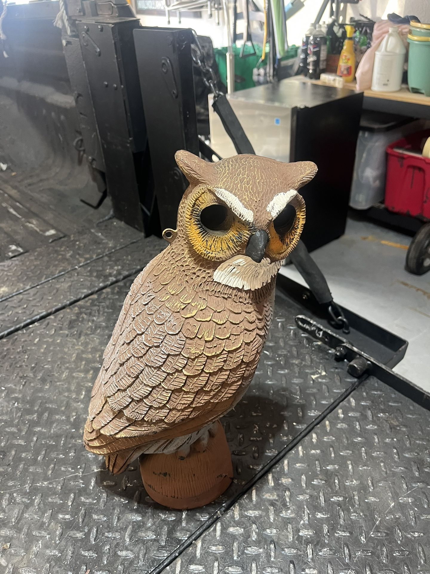 Decoy Owl