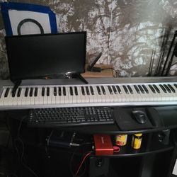 Computer Monitor 19"
