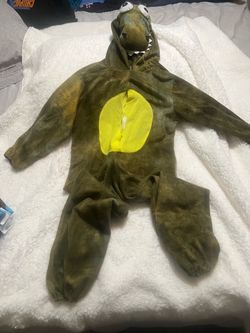 Dinosaur costume 4T