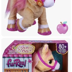 Fue Real Pony