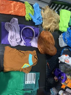 Scooby Doo Gang Costumes