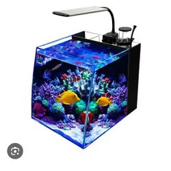 Fish Tank Set 