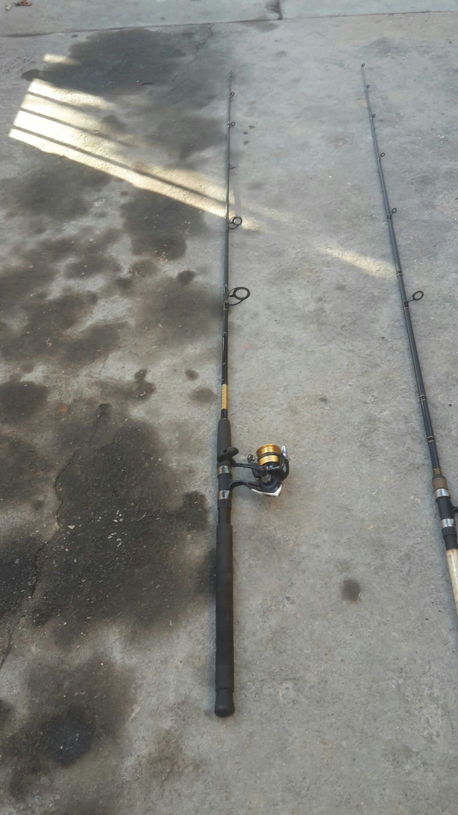 Fishing rod and spinning reel