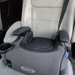 Graco Booster Child Car Seat