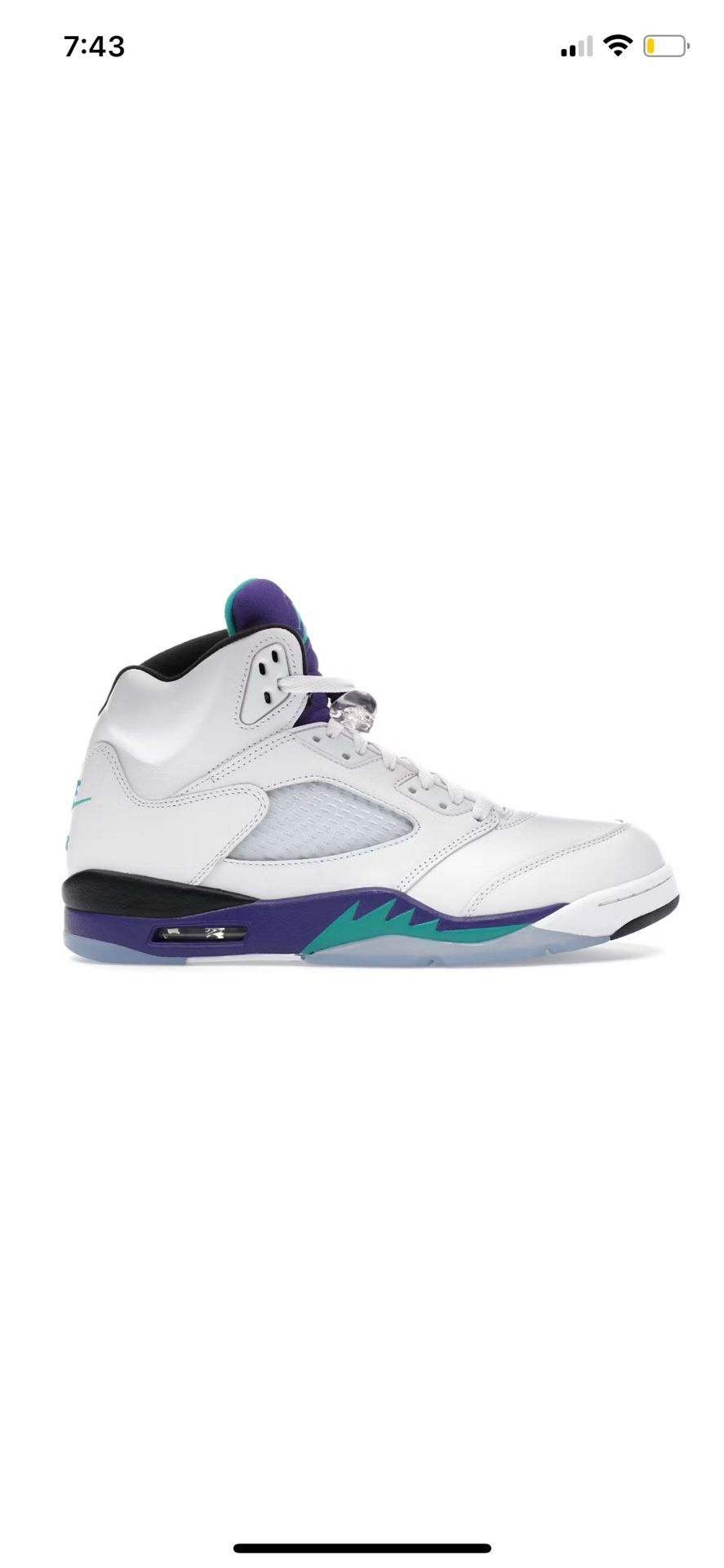 Jordan 5 Retro Grape 2025 *Read Description*