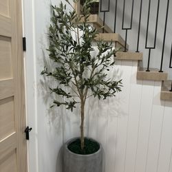 Beautiful Modern Faux Olive Tree And Cement Planter 