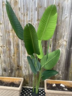 5f artificial plant