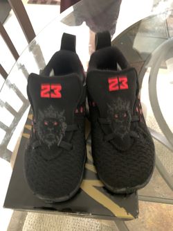 Lebron XV11 shoes
