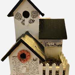 Hand-Painted Birdhouses! Hurry They Go Fast!