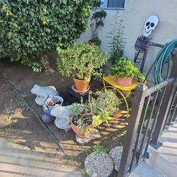 Everything Is For Sale!!!