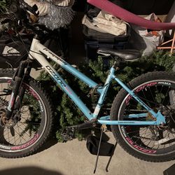 Teen Mountain Bike