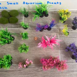 Aquarium plants
