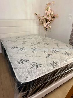 Queen regular hybrid  only mattress delivery free