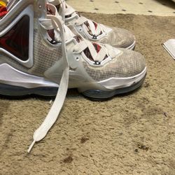 Labron James Size 11