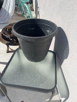 Plant Pot
