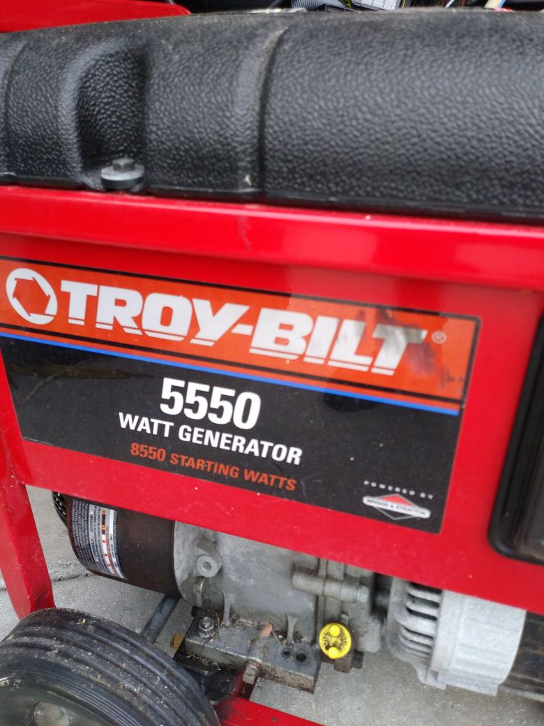 Troy - Bilt 5500 watt generator.