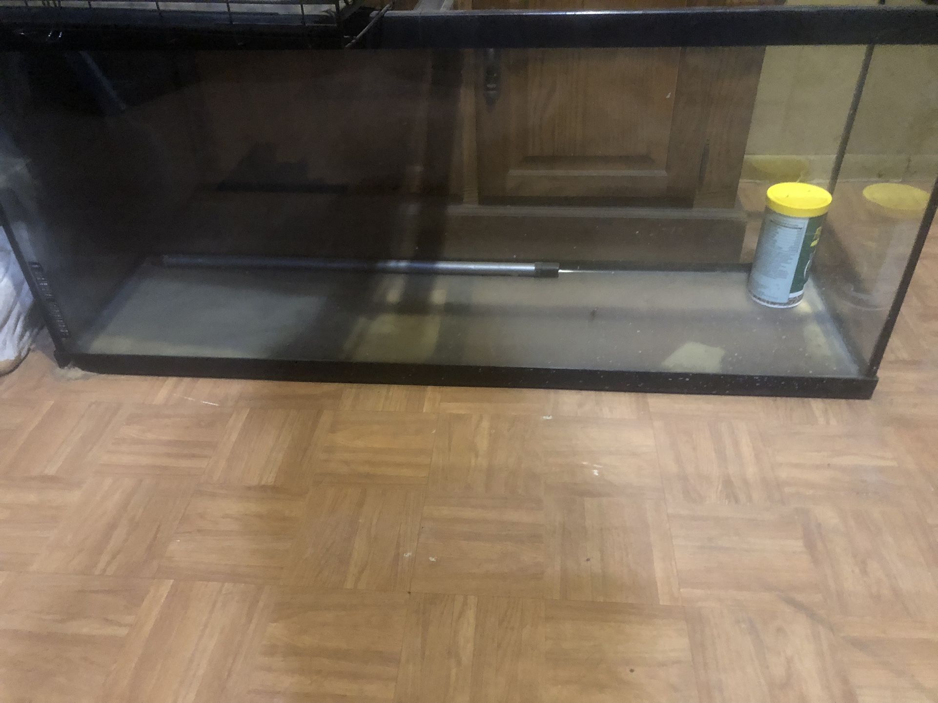 40 Gallon Tank 