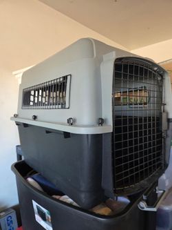 Large Plastic Dog Travel Crate