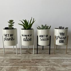 Mini Planters with Stand + Funny Succulent Puns for Sale in Aliso Viejo, CA  - OfferUp