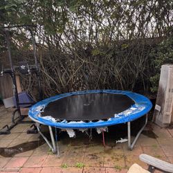 Free Trampoline 