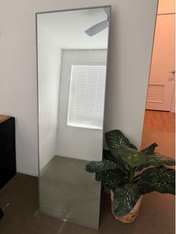 Full length mirror (Standing/Hanging)