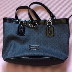 Guess bag with animal print inside