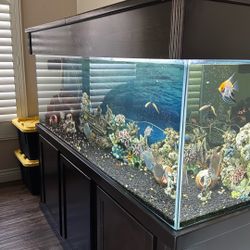 180 Complete Freshwater Aquarium 