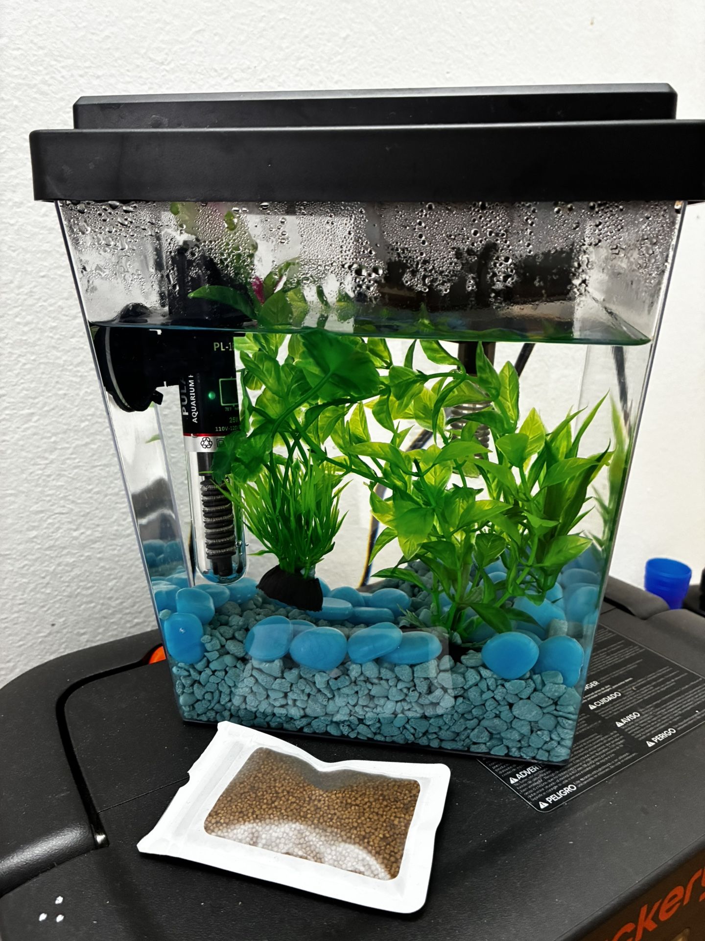 One Gallon Fish Tank