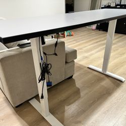 Large Electric Standing Desk 