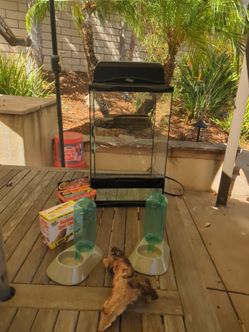 ZooMed 12x12 terrarium, hood lamp, magnetic shelf, two water dispensers, two light bulbs,