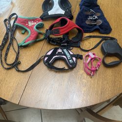 Dog Supplies – Five Harnesses, Two Leashes, And A Dog Jacket