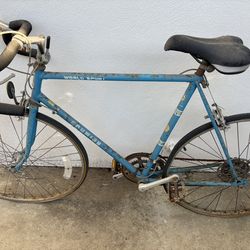 Schwinn World Sport Road Biko