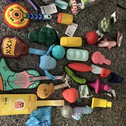 Bark box Dog Toys Kong Dog Toys