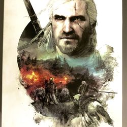 Witcher 3 Wild Hunt 