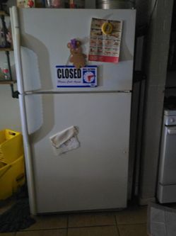 Fridge