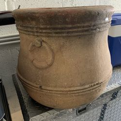 Pottery Plant 