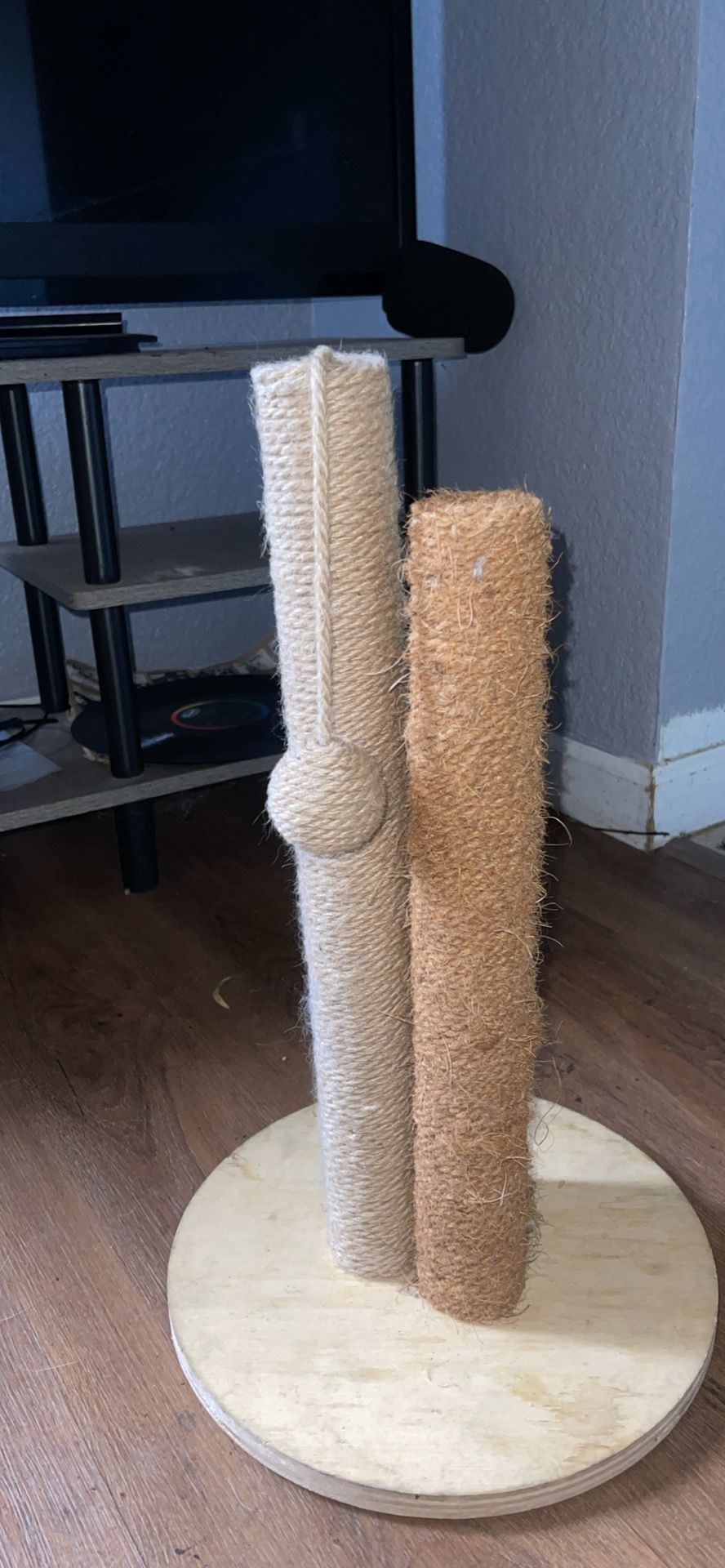 Cat Scratch Posts