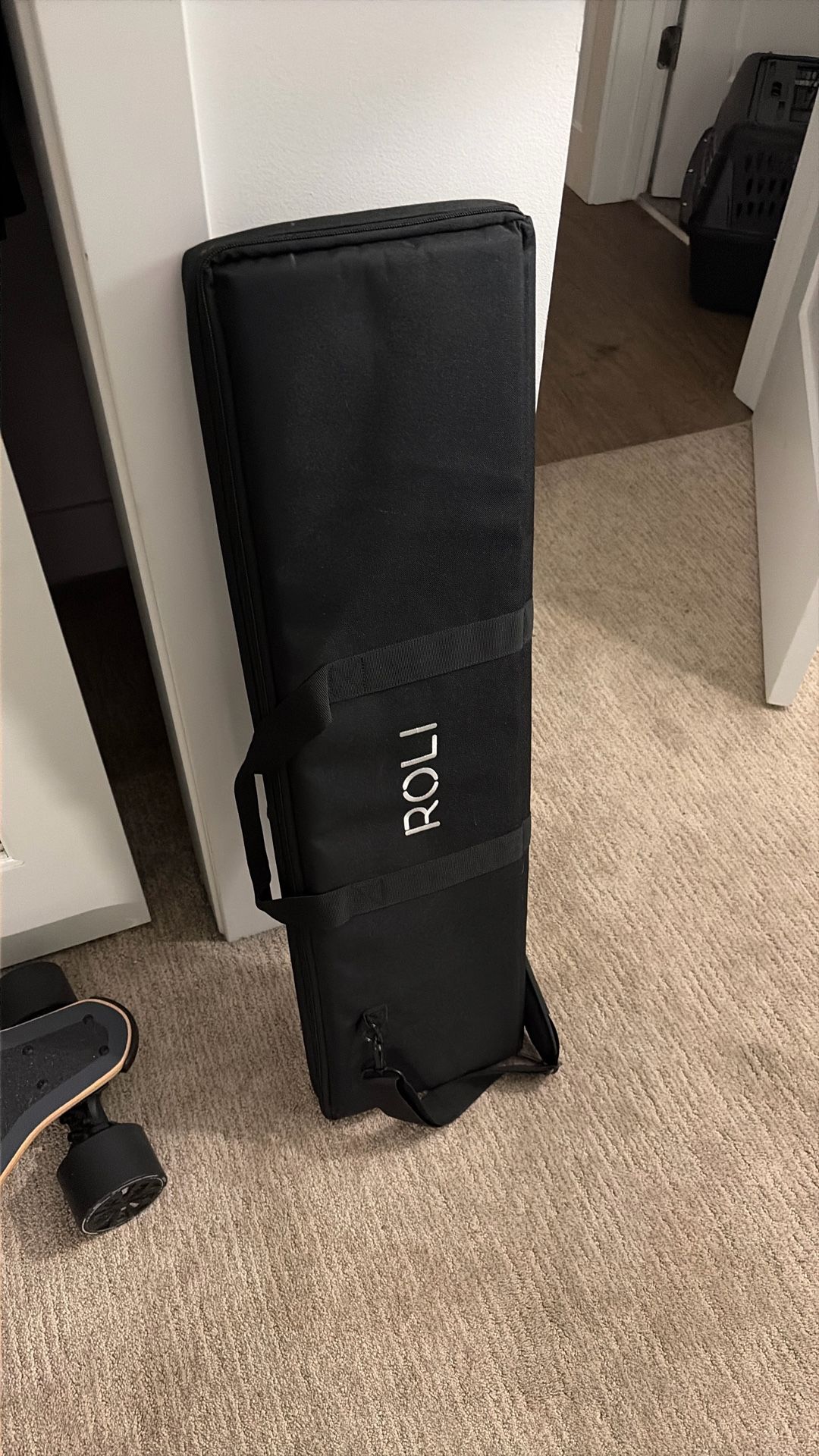 ROLI Seaboard RISE 49 — Expressive 49-Key MIDI Controller, Great Condition